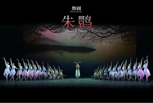 朱鹮振翅飞入人心《大幕开启》再续新篇章