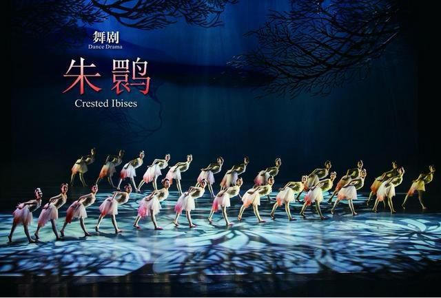 朱鹮振翅飞入人心《大幕开启》再续新篇章